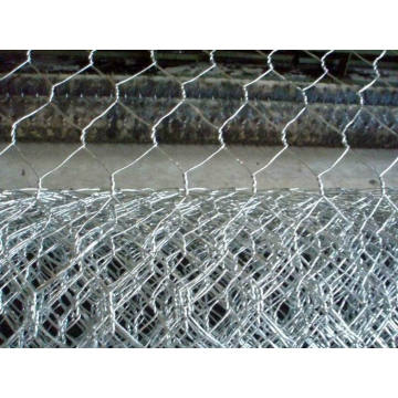 Chicken Wire Netting-Hexagonal Wire Mesh